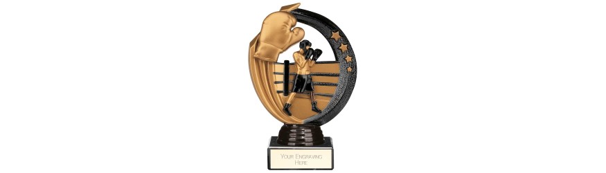 RENEGADE II BOXING LEGEND RESIN TROPHY - 5 SIZES - 14.5CM - 22.5CM RENEGADE II BOXING LEGEND RESIN TROPHY - 5 SIZES - 14.5CM - 22.5CM